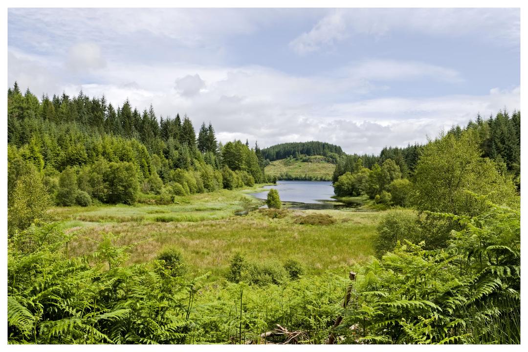 Scotland